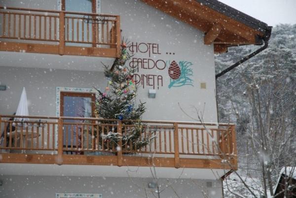Hotel Faedo Pineta Kamer foto
