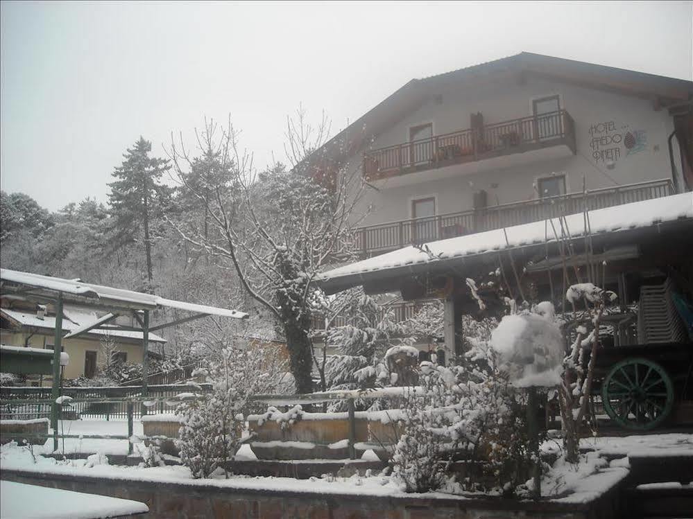 Hotel Faedo Pineta Buitenkant foto